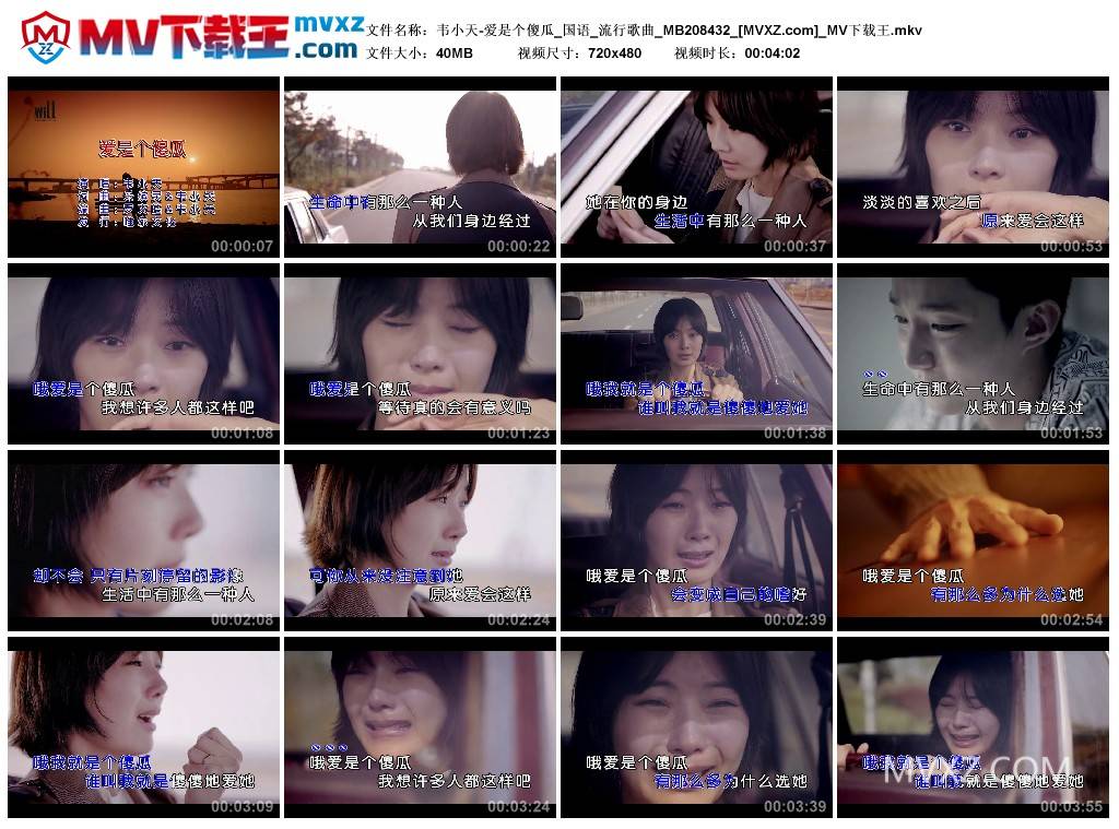 韦小天-爱是个傻瓜_国语_流行歌曲_MB208432